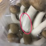 「しめじ」に付着したカビっぽいもの!? 有害? 無害?