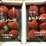 イチゴの季節です！ お買得ですよ〜♪