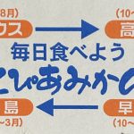 皆大好きミカン！ 食べてますか〜。